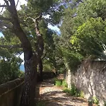 Guya * Capri