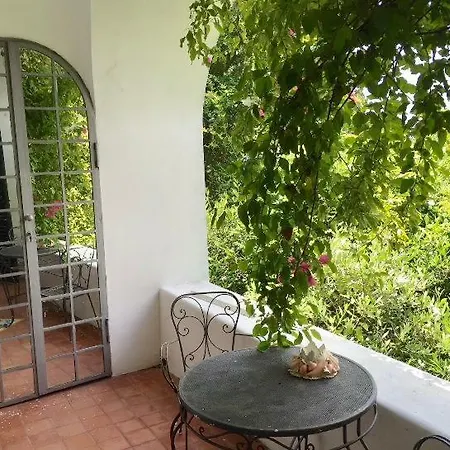 Guya * Capri